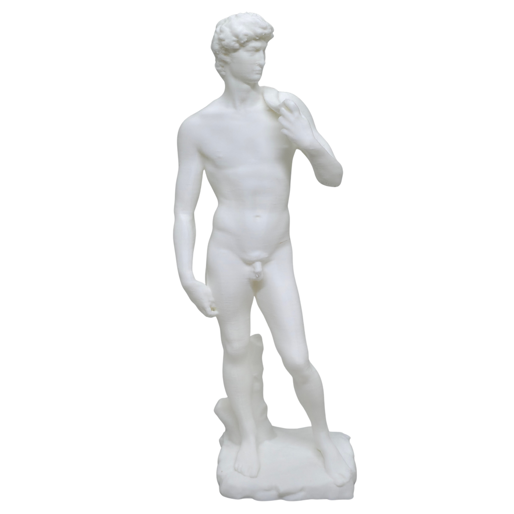 Estatua David